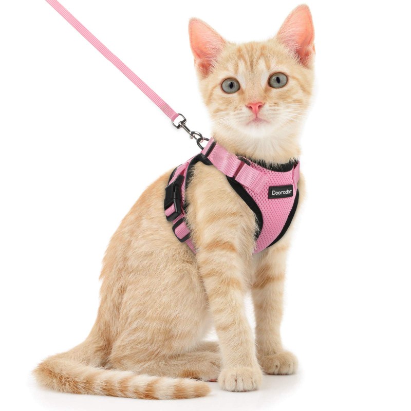 Adjustable Nylon Pet Cat Harness and Leash - Kitten Belt Collar