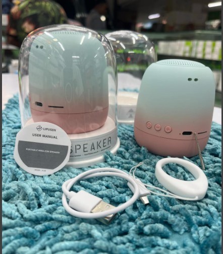EWA A136 Portable Wireless Bluetooth Speaker