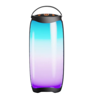 Sanag V10S PRO 10W Wireless Bluetooth Speaker